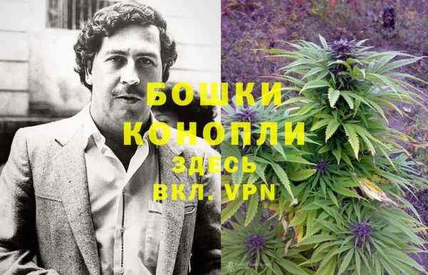 spice Каменногорск