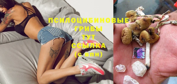spice Каменногорск