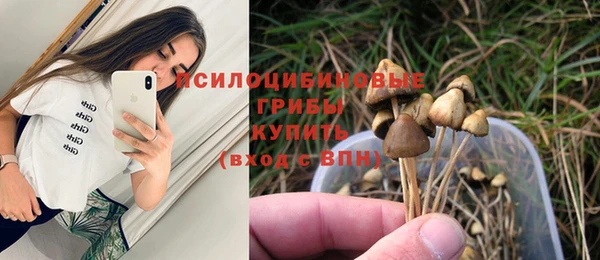 прущая мука Каменка