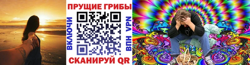 Псилоцибиновые грибы прущие грибы  Купить закладки  Вихоревка 
